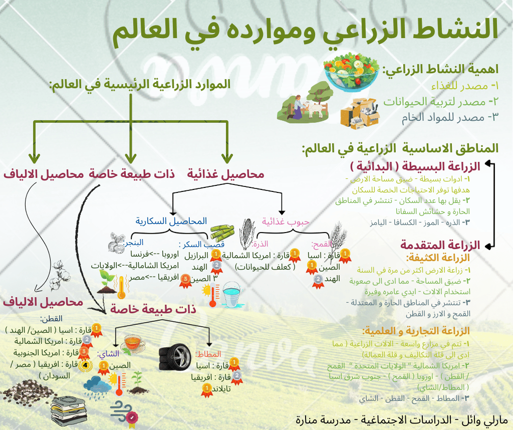 Agricultural activity and its resources | By: Marly